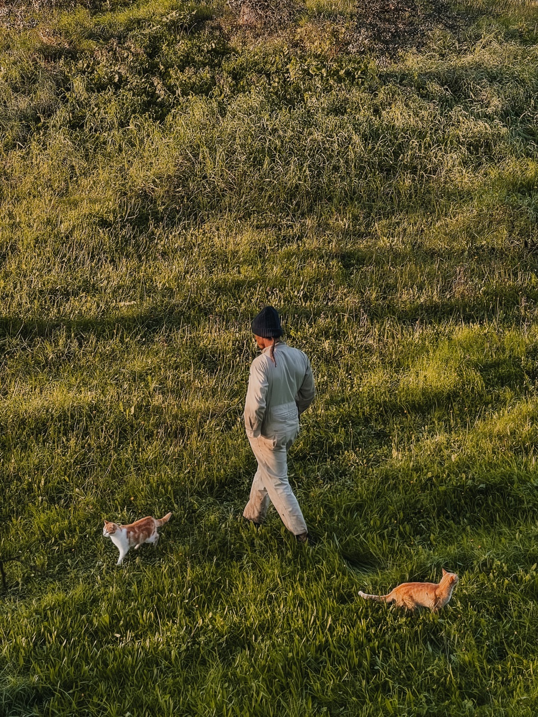 Eco living at Traditional Dream Factory — walking through green regenerative landscapes