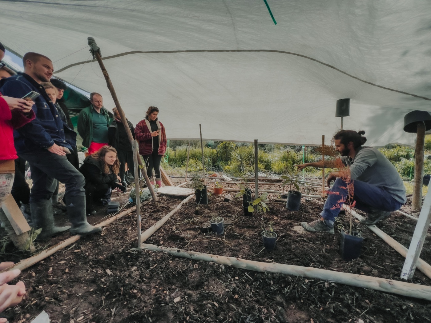 Regenerative commons in action — community planting workshop at Traditional Dream Factory